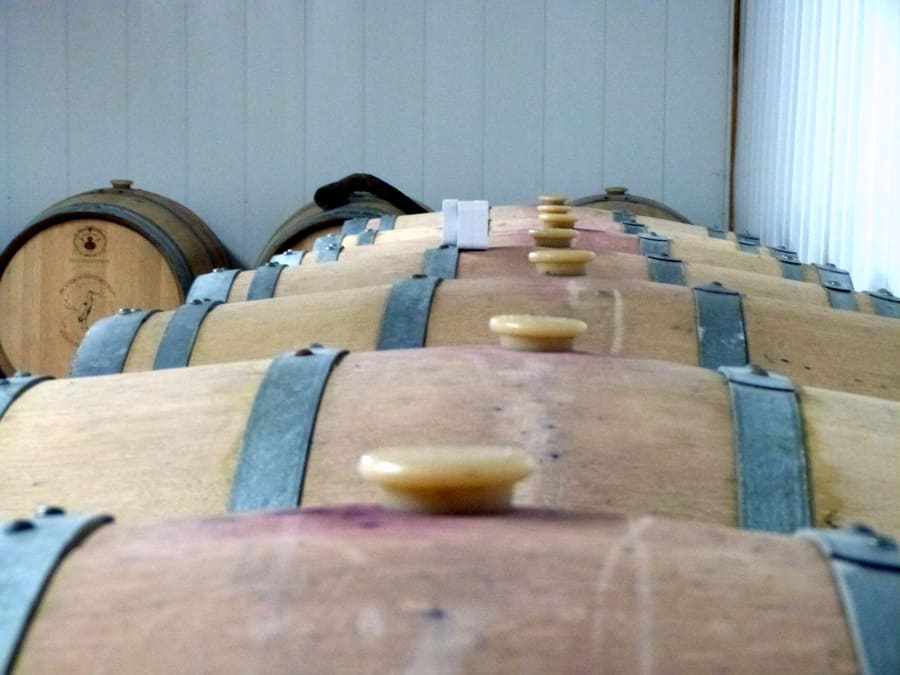 Bodegas Dehesavieja